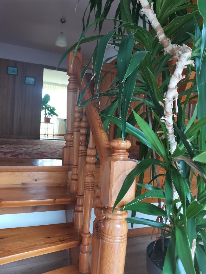 Apartament Forest Myslakowice Luaran gambar